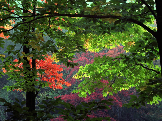 30776 (a): :1024x768